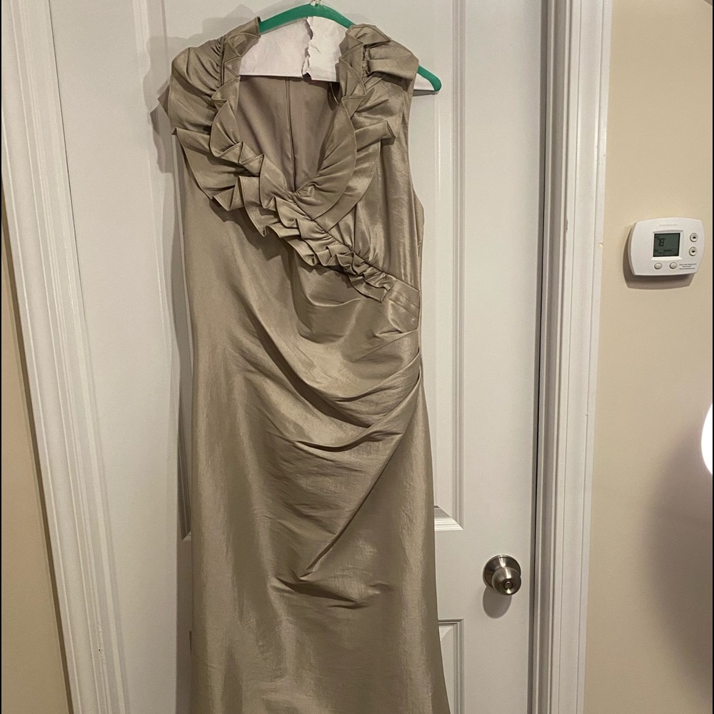 Long occasional dress/gown